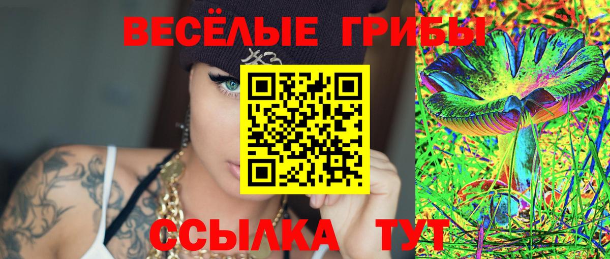 Лысьва  Псилоцибиновые грибы Psilocybine cubensis  Вход с VPN 