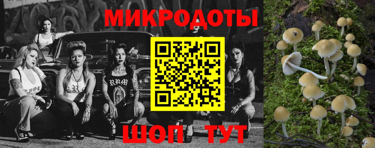 Галлюциногенные грибы Cubensis Лысьва
